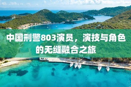中国刑警803演员，演技与角色的无缝融合之旅
