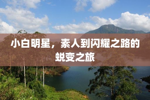 小白明星，素人到闪耀之路的蜕变之旅
