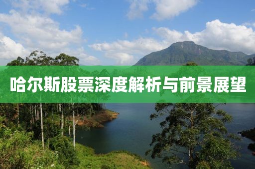 哈尔斯股票深度解析与前景展望