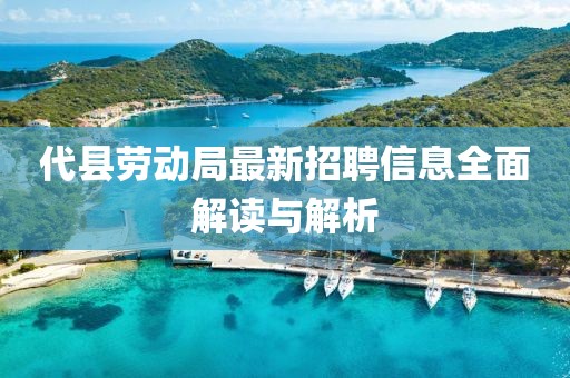 代县劳动局最新招聘信息全面解读与解析