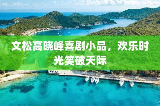 文松高晓峰喜剧小品，欢乐时光笑破天际