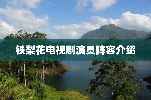 铁梨花电视剧演员阵容介绍
