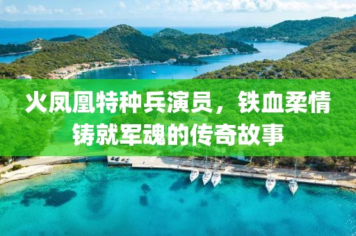 火凤凰特种兵演员，铁血柔情铸就军魂的传奇故事