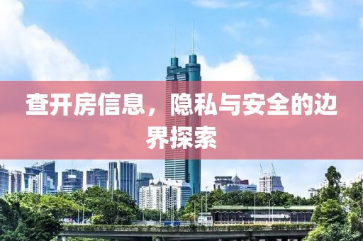 查开房信息，隐私与安全的边界探索