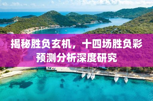 揭秘胜负玄机，十四场胜负彩预测分析深度研究