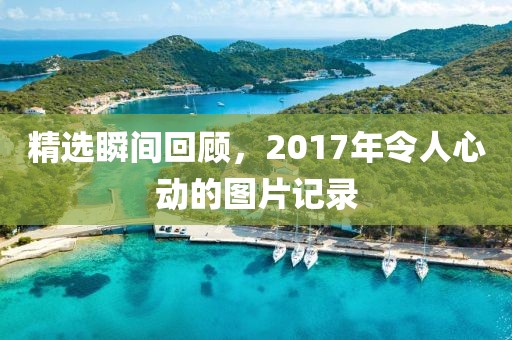 精选瞬间回顾，2017年令人心动的图片记录