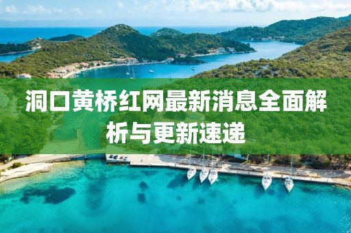 洞口黄桥红网最新消息全面解析与更新速递