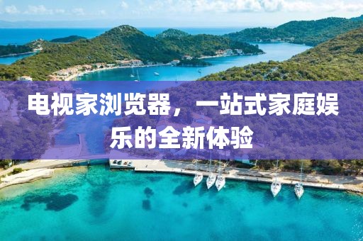 电视家浏览器，一站式家庭娱乐的全新体验