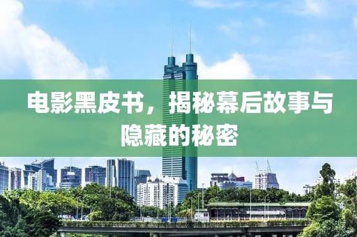 电影黑皮书，揭秘幕后故事与隐藏的秘密