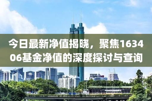 今日最新净值揭晓，聚焦163406基金净值的深度探讨与查询