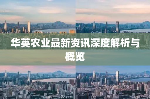 华英农业最新资讯深度解析与概览