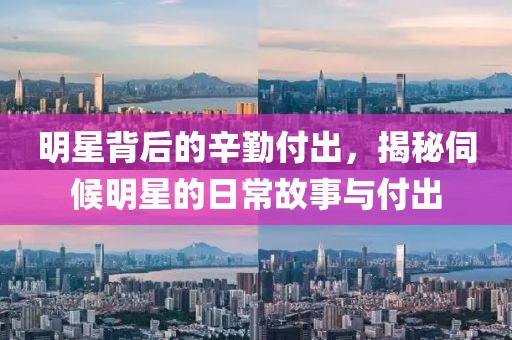 明星背后的辛勤付出，揭秘伺候明星的日常故事与付出
