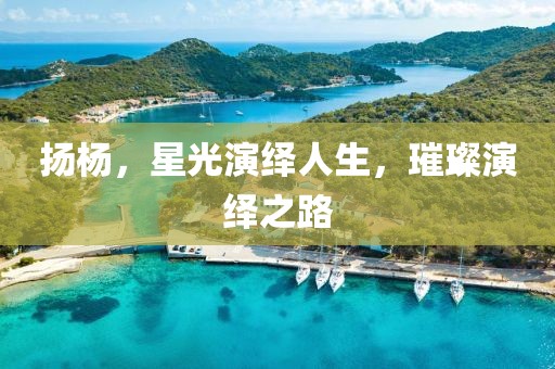 扬杨，星光演绎人生，璀璨演绎之路