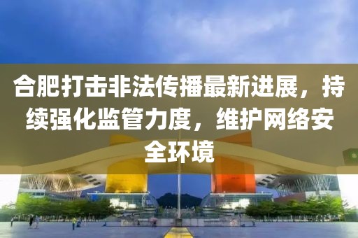 合肥打击非法传播最新进展，持续强化监管力度，维护网络安全环境
