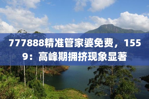 777888精准管家婆免费，1559：高峰期拥挤现象显著