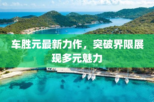 车胜元最新力作，突破界限展现多元魅力