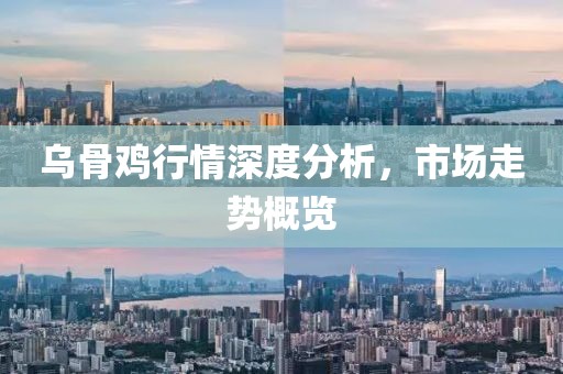 乌骨鸡行情深度分析，市场走势概览