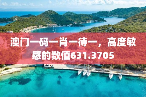 澳门一码一肖一待一，高度敏感的数值631.3705