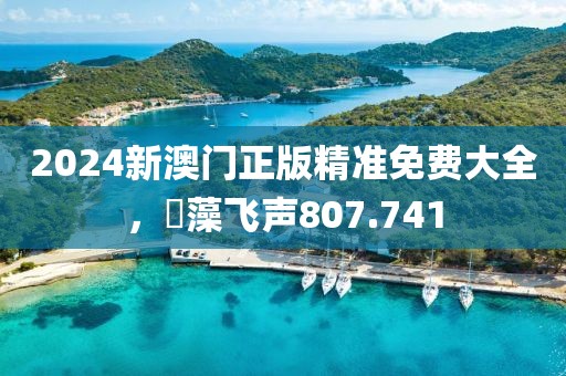 2024新澳门正版精准免费大全，掞藻飞声807.741