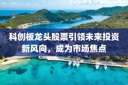 科创板龙头股票引领未来投资新风向，成为市场焦点