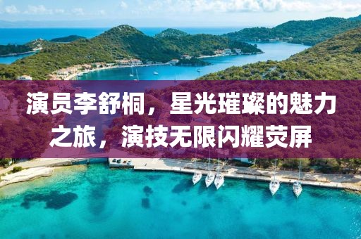 演员李舒桐，星光璀璨的魅力之旅，演技无限闪耀荧屏