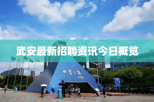 武安最新招聘资讯今日概览