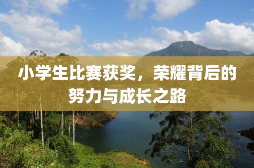 小学生比赛获奖，荣耀背后的努力与成长之路
