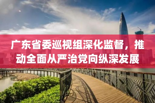 广东省委巡视组深化监督，推动全面从严治党向纵深发展