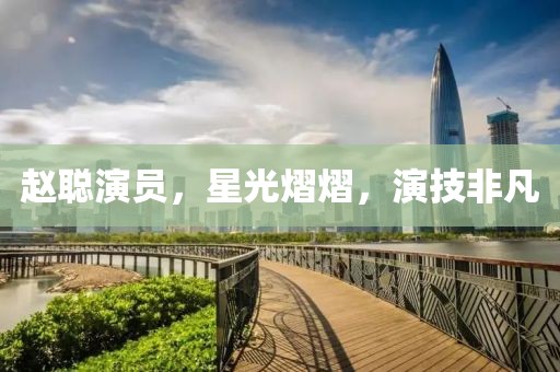 赵聪演员，星光熠熠，演技非凡