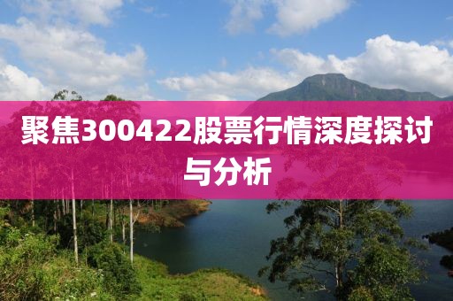 聚焦300422股票行情深度探讨与分析