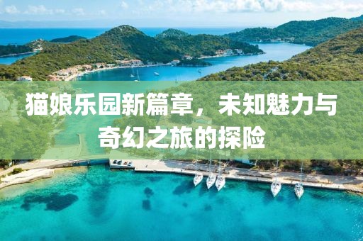 猫娘乐园新篇章，未知魅力与奇幻之旅的探险