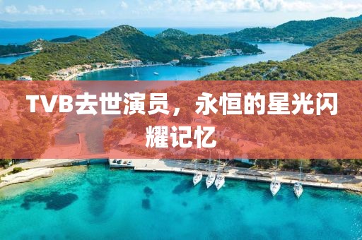 TVB去世演员，永恒的星光闪耀记忆