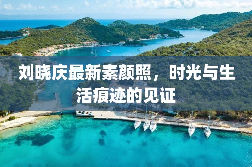 刘晓庆最新素颜照，时光与生活痕迹的见证