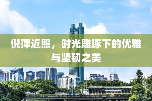 倪萍近照，时光雕琢下的优雅与坚韧之美