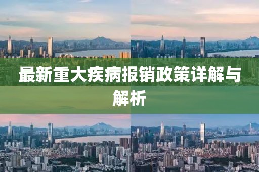 最新重大疾病报销政策详解与解析