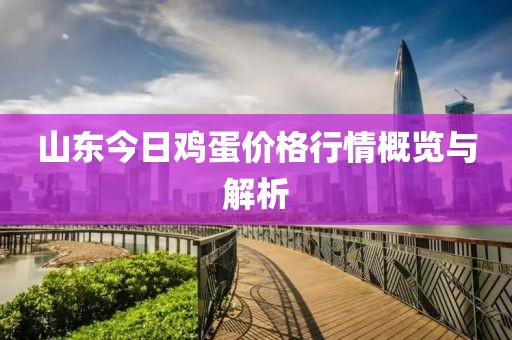 山东今日鸡蛋价格行情概览与解析