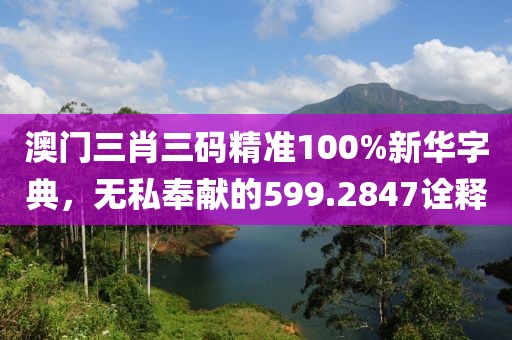 公司概况 第503页