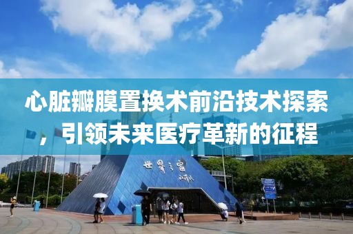 心脏瓣膜置换术前沿技术探索，引领未来医疗革新的征程