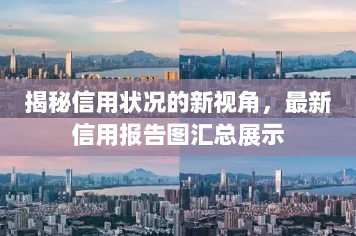 揭秘信用状况的新视角，最新信用报告图汇总展示