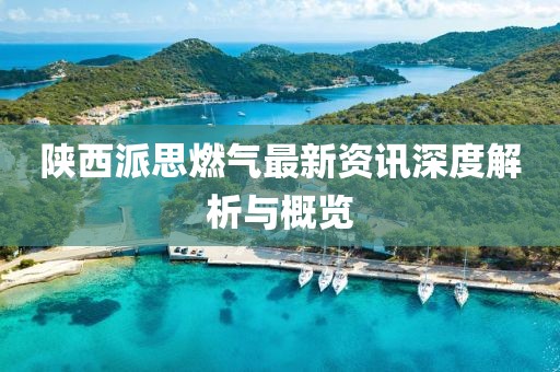 陕西派思燃气最新资讯深度解析与概览