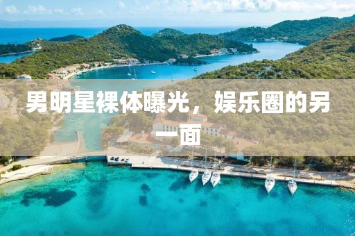 男明星裸体曝光，娱乐圈的另一面