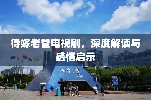 待嫁老爸电视剧，深度解读与感悟启示
