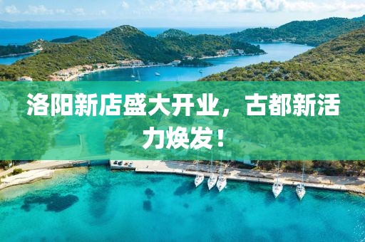 洛阳新店盛大开业，古都新活力焕发！