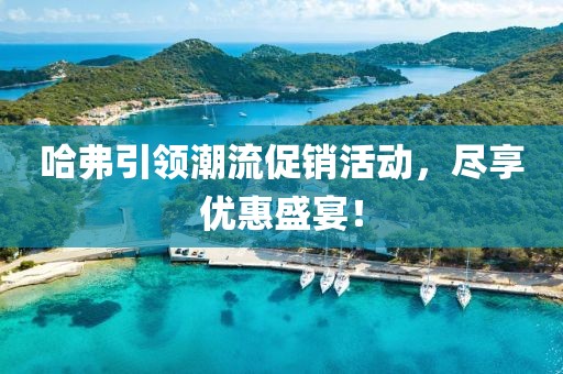 哈弗引领潮流促销活动，尽享优惠盛宴！