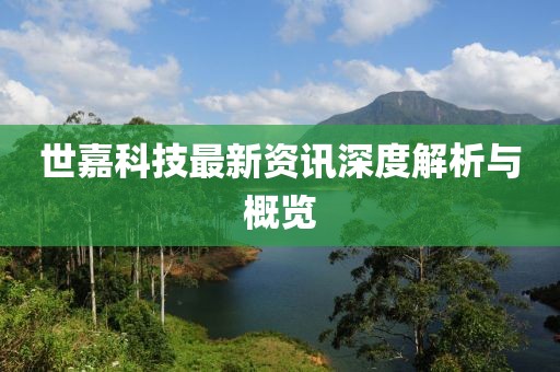 世嘉科技最新资讯深度解析与概览
