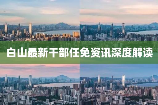 白山最新干部任免资讯深度解读