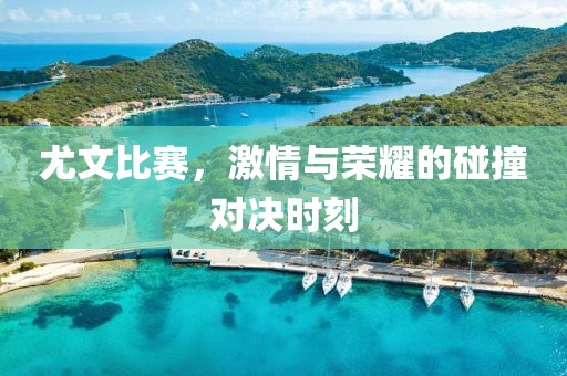 尤文比赛，激情与荣耀的碰撞对决时刻