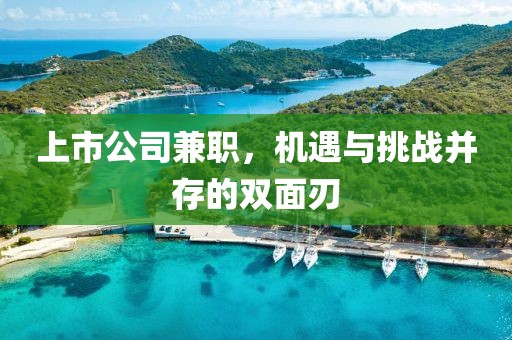 上市公司兼职，机遇与挑战并存的双面刃