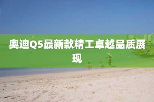 奥迪Q5最新款精工卓越品质展现