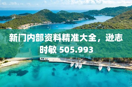 新门内部资料精准大全，逊志时敏 505.993